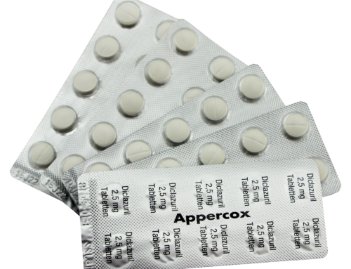 Besonderer Tipp für Reisetauben – Appercox-Tabletten gegen Kokzidien