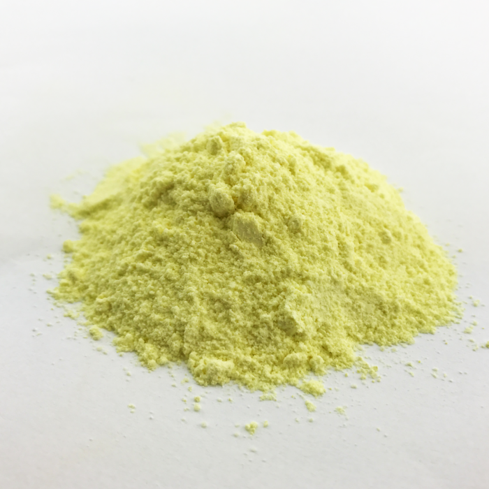 Orni-Chlam – Bild 2