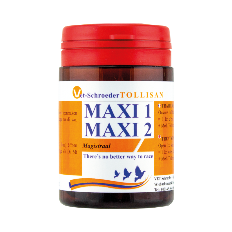 Maxi I + Maxi II – TOLLISAN