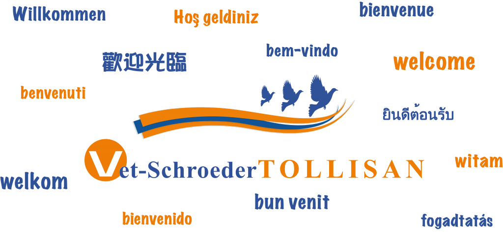 Willkommen bei TOLLISAN