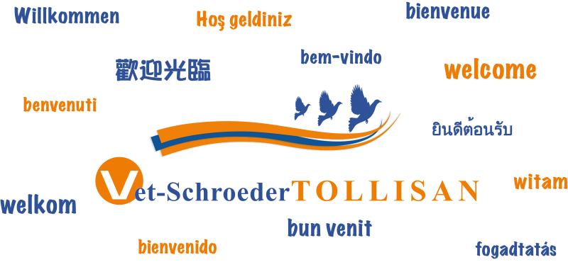 TOLLISAN